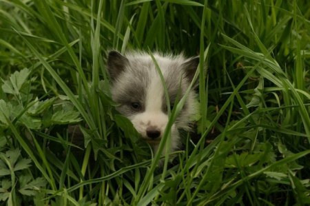 ����� �������� � ����� ���� (31 ����)