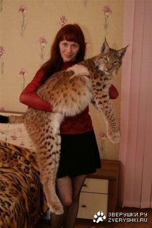 ����� �������� � ����� ���� (31 ����)