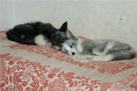 ����� �������� � ����� ���� (31 ����)