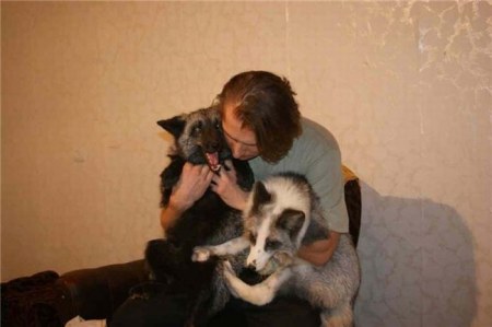 ����� �������� � ����� ���� (31 ����)