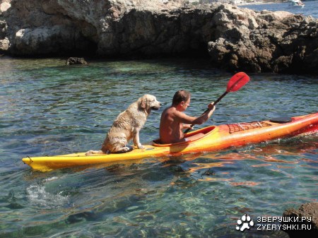 �������� :)