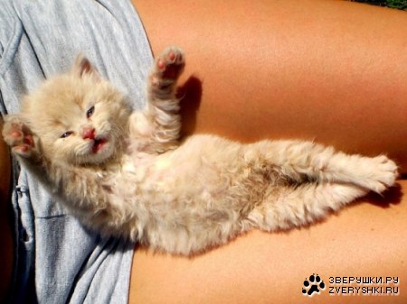 ������� ��� ;)