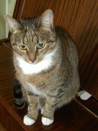 ��������! ���� ������ ����! (�. ������)