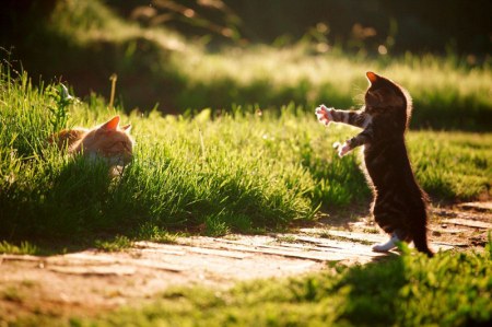 ��� �� ���, ������! :)