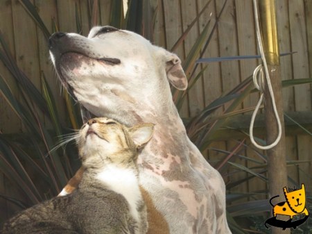 ��� ����� �� ������!