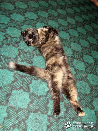 ������� �� ����� � ������ :)