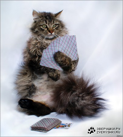 ������� ������? ;)