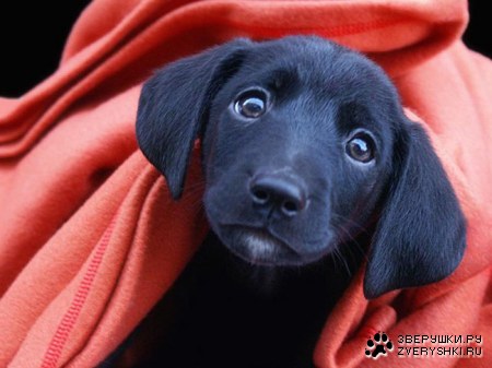 ϸ��� ����!