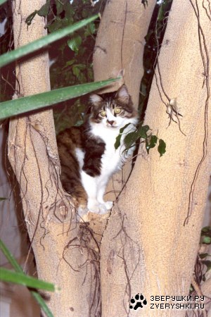 � �� ������ ����, ������ �� ����� ����� :)