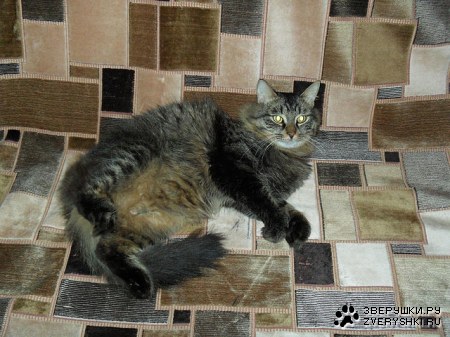 ������� :)