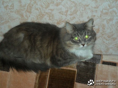 ������� :)