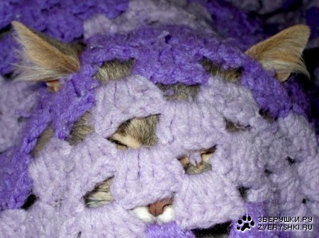 ����� ���� ;)