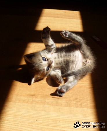 ������� ��� ������! :)