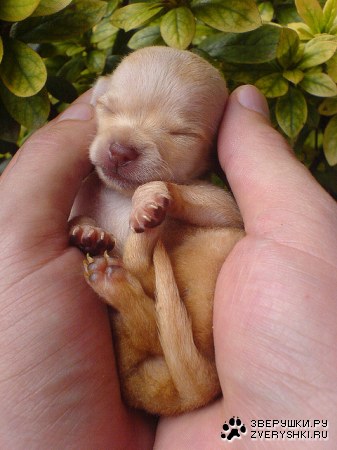 �������� :)