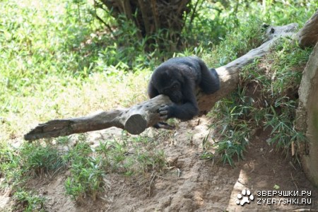 ������� ;)