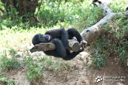 ������� ;)