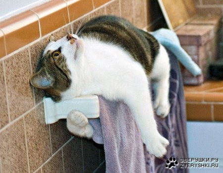 ���������� ������ (15 ����)