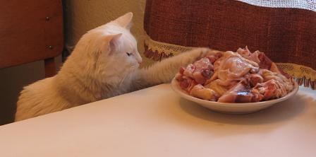 ���� ������! ����� � ��������� :)