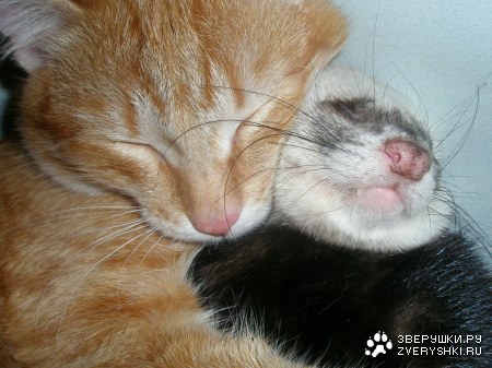 ��� ������ ������!