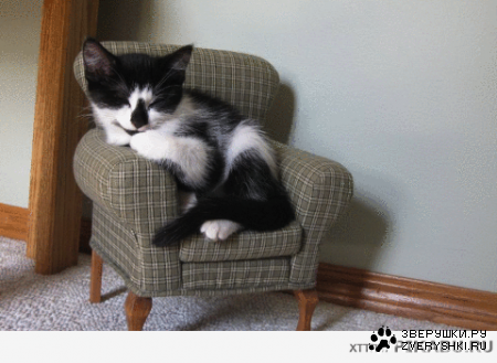 ��������� ������ ��� ���������� ������ ;)