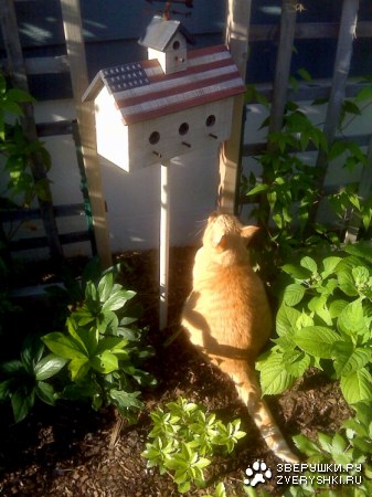 ��� ��� � ������ �����? :)