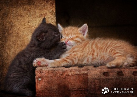 �������-�� � ���� � ����� :)