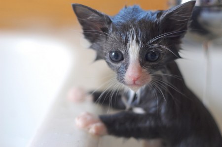 �������� "������ ������" :)