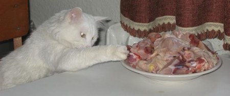 ���� ������! ����� � ��������� :)