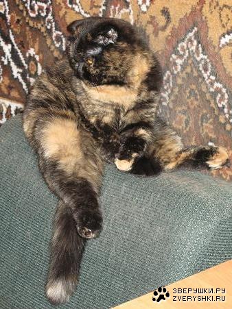 �������� ��������� :)