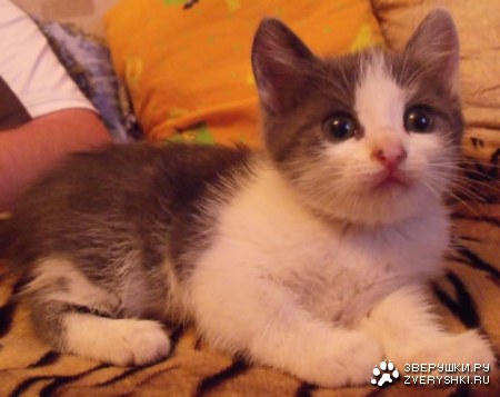 ����� ������ :)