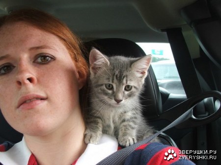 ��������� �������������� :)