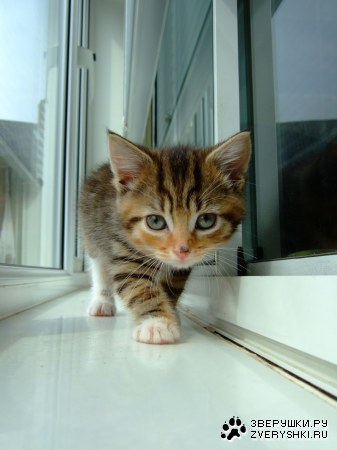 � ������ � ��� � ���! ;)