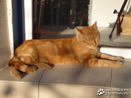 ����� � ������ :)