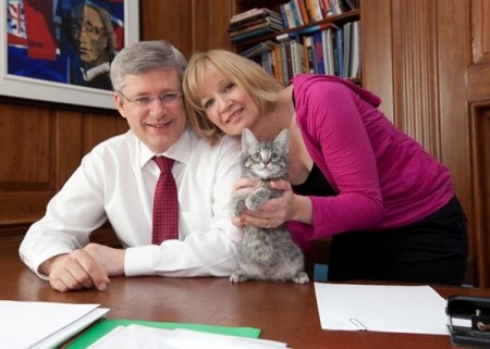 ��� �������-�������� (8 ����)