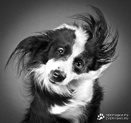 ������ ��� ��������! ;)