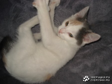 ������������ :)