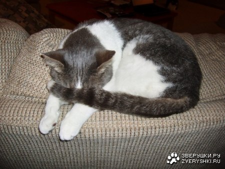 �� �������� ����! ;)