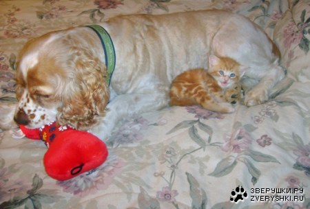 � ������ ���� �����! :)