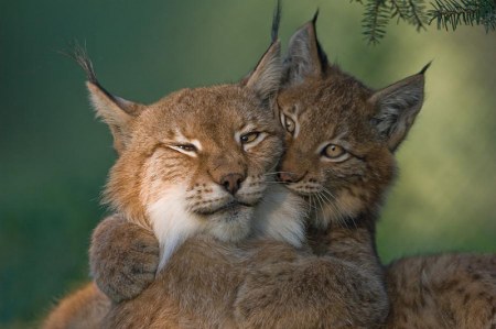 ��������� :)