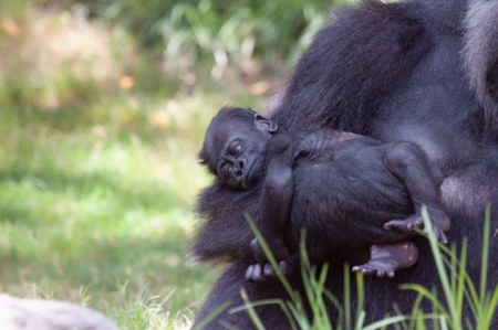 � �������� ������� ����� :)