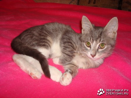 ������ ������� � ������ ����! �. ������