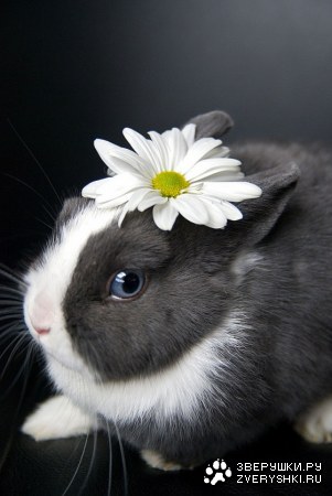 ��������� :)