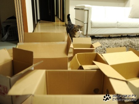 ������� ��� :)