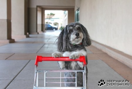 � ������ �� ���������! :)