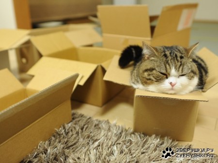 ������� ��� :)