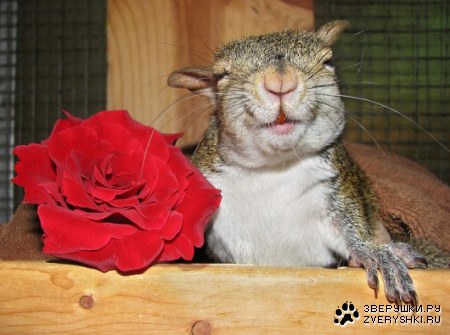 ������ ��� ��������! ;)