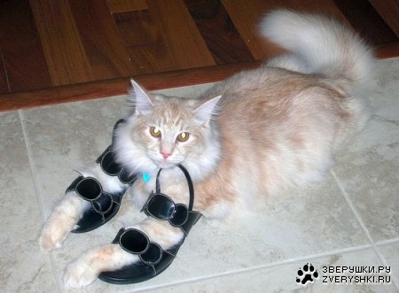 �� � �������� :)