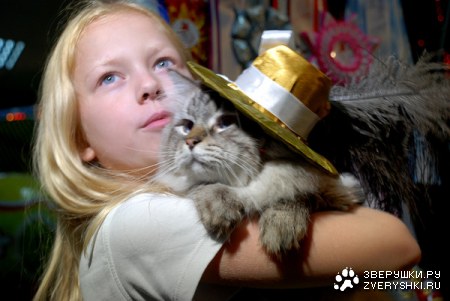 �������� ����� � ������! (33 ����)