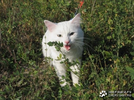 �������� � ������!