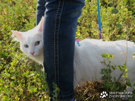 �������� � ������!